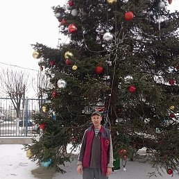 ����, �������, 46 ���