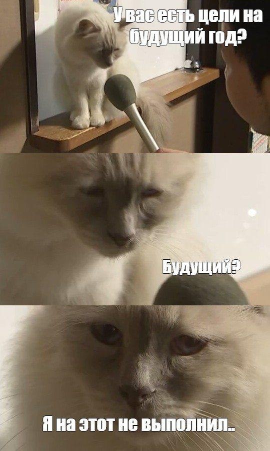 ���� �� ��� ��� ���������? ���� ���, ���� ���-����� �����. ���� ���� ������� ���� �� �� 12 ������� ...