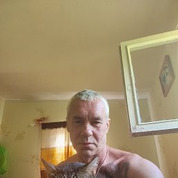 , 55 ,  