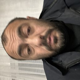 �����, ������, 41 ���