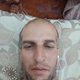 , 41 , 