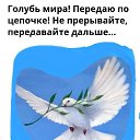 ���� ���� �������, ������������, 66 ��� - ��������� 5 ������� 2024 � ������ ���� ����������