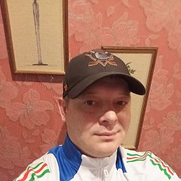 ���������, ����, 41 ���