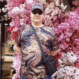 �������, ����������, 47 ���