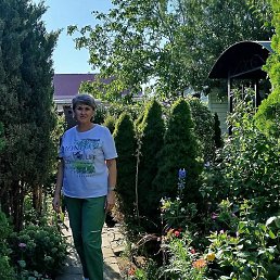 �����, ����������, 63 ����