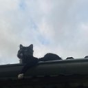 ���� ������, �������, 68 ��� - ��������� 9 �������� 2025 � ������ ������ ��������