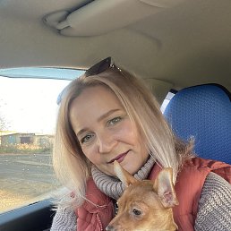 ����, �����������, 48 ���