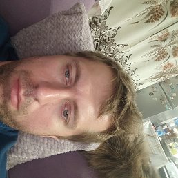 , 31 , 