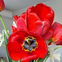 ���� �������, �����, 35 ��� - ��������� 3 ��� 2025 � ������ ���� ����������