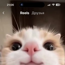 ���� ������, �������, 42 ���� - ��������� 10 ������ 2026