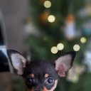 ���� &hearts;&hearts;�����&hearts;&hearts;, �����������, 54 ���� - ��������� 27 ������ 2025 � ������ ������ ��������