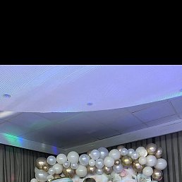 �����, �������, 54 ����