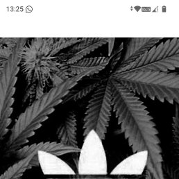 ���� ��������, ������, 22 ���� - ��������� 5 ������� 2026