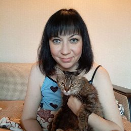 , 37, 