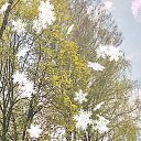���� Vadim, �������, 47 ��� - ��������� 11 ��� 2026