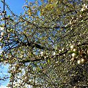 ���� ���������, �����-���������, 55 ��� - ��������� 2 ��� 2025 � ������ ������ ��������