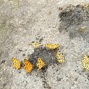 ���� ����, ������, 44 ���� - ��������� 9 ���� 2025 � ������ ������������� ������ ���� 2024 ����� 1�