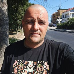 , 37, 