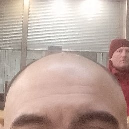 �����, �����-���������, 41 ���