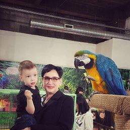 , 48, -