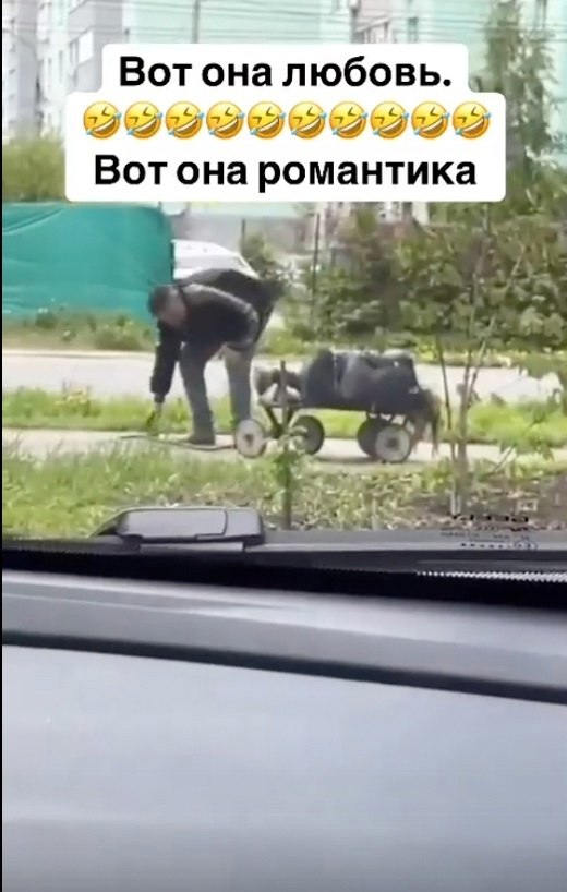 ��� ��� ������