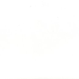 ���� ����, ������, 35 ��� - ��������� 29 ������ 2026