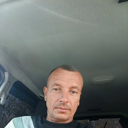 ����, 42 ����, �������