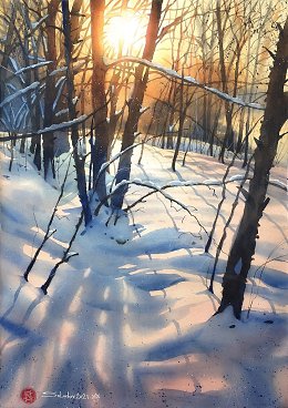 �����������