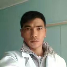 �����, ��������, 41 ���