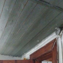 ���� ���������, ������, 67 ��� - ��������� 29 ���� 2025