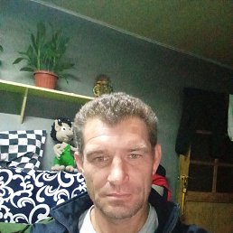  , 44, 