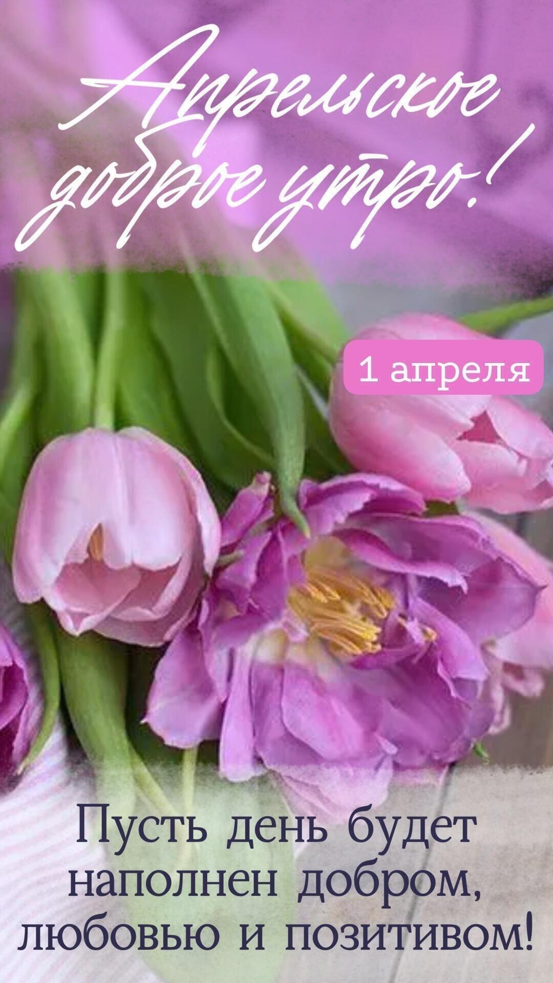 1 ... ...  !         !  ...