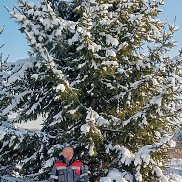 ������, 58 ���, ������