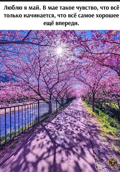 �������� ������ - 16 ��� 2025 � 07:19