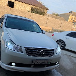 ���� �����, ������, 36 ��� - ��������� 8 ������ 2023