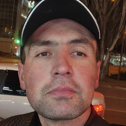 ����, ���������, 41 ���