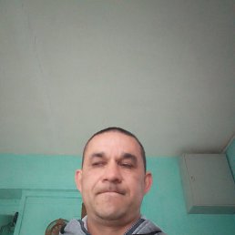 ���� ������, ������, 42 ���� - ��������� 31 ��� 2026