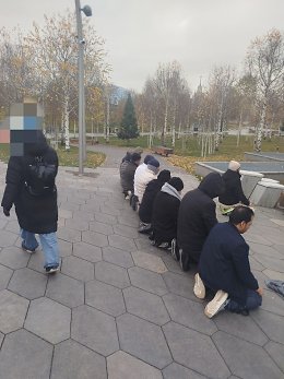 �����������