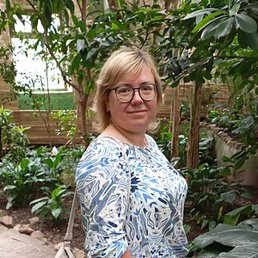 �����, ������ ��������, 37 ���