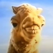 ��������, 21 ���, �����