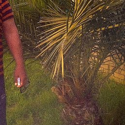 �������, ���������, 60 ���