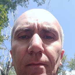 ���� ����, ������������, 44 ���� - ��������� 4 ������ 2026