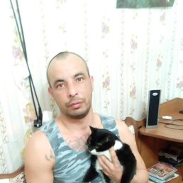 ��������, 41 ���, ��������