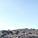 ���� ����������, ������, 36 ��� - ��������� 18 ���� 2024 � ������ ���� ����������