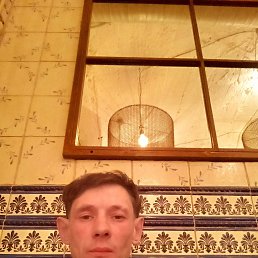 ����, 41 ���, ����������