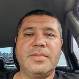 ��������, ������, 51 ���