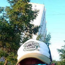 ������, �����������, 40 ���