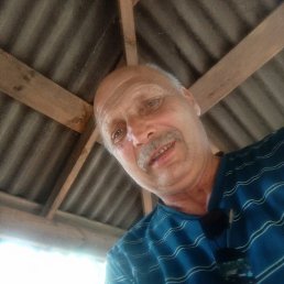 , 61, 