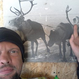  ....., , 45  -  12  2025