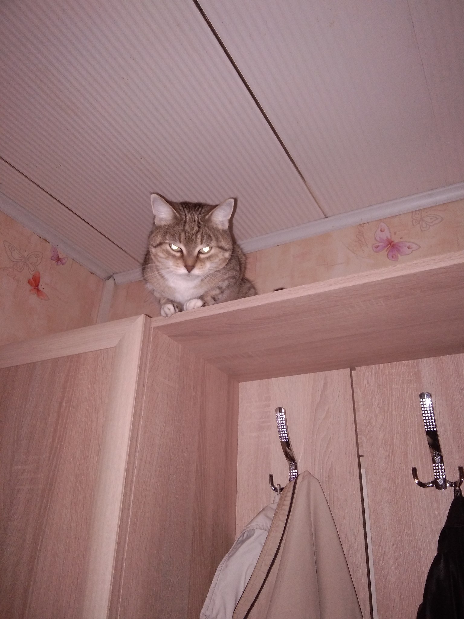 ������� ������ - 13 ������ 2025 � 14:42